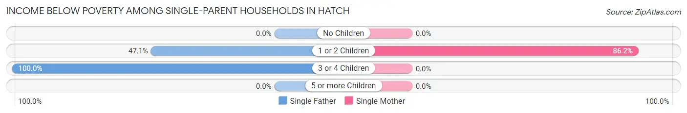 Income Below Poverty Among Single-Parent Households in Hatch