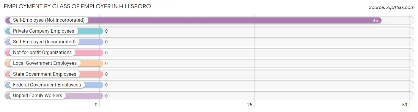 Employment by Class of Employer in Hillsboro