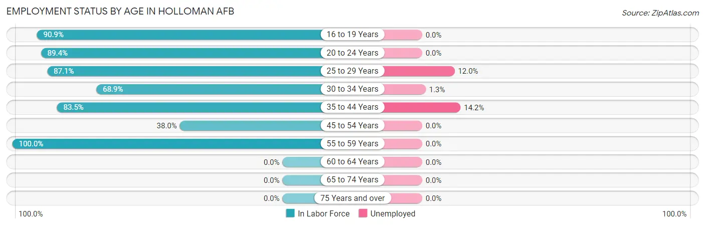 Employment Status by Age in Holloman AFB