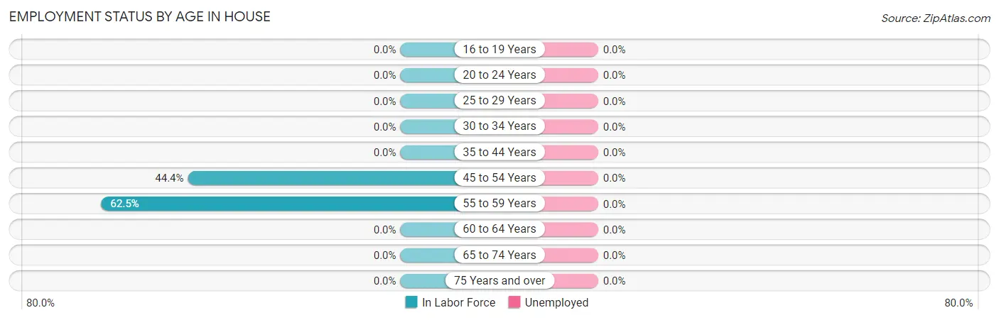 Employment Status by Age in House