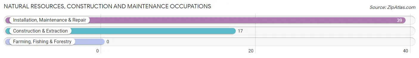 Natural Resources, Construction and Maintenance Occupations in Isleta