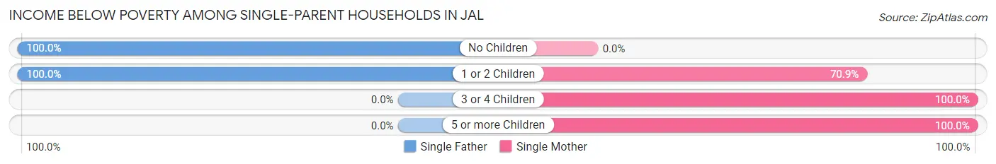 Income Below Poverty Among Single-Parent Households in Jal