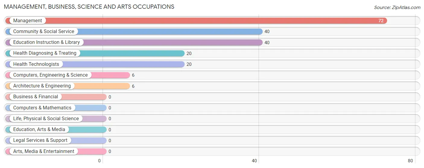 Management, Business, Science and Arts Occupations in Jarales