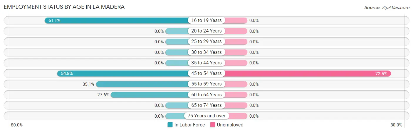 Employment Status by Age in La Madera