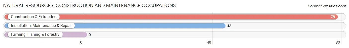 Natural Resources, Construction and Maintenance Occupations in La Plata