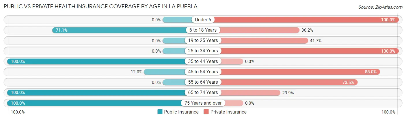 Public vs Private Health Insurance Coverage by Age in La Puebla