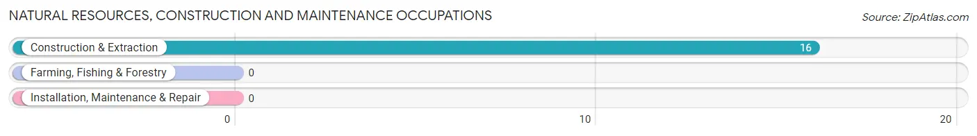 Natural Resources, Construction and Maintenance Occupations in Laguna