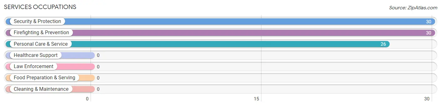 Services Occupations in Laguna