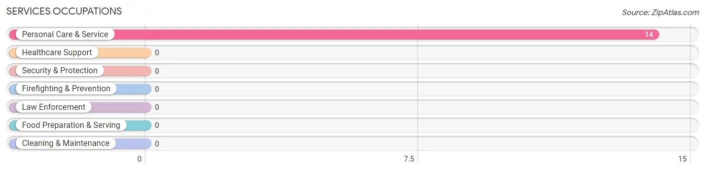 Services Occupations in Lamy