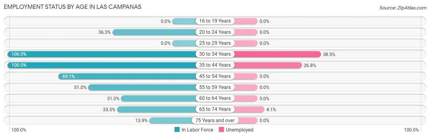 Employment Status by Age in Las Campanas