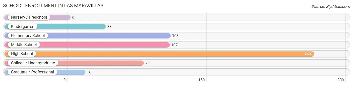 School Enrollment in Las Maravillas