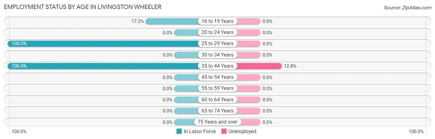 Employment Status by Age in Livingston Wheeler