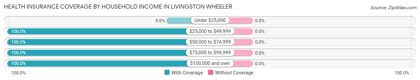 Health Insurance Coverage by Household Income in Livingston Wheeler