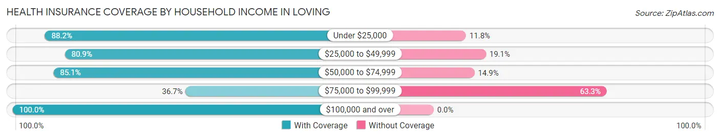 Health Insurance Coverage by Household Income in Loving
