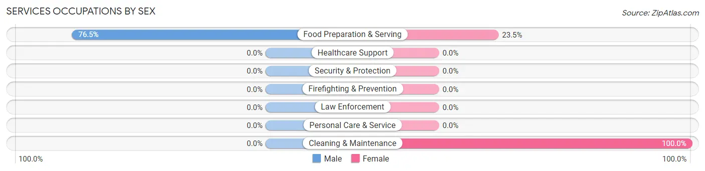 Services Occupations by Sex in Loving