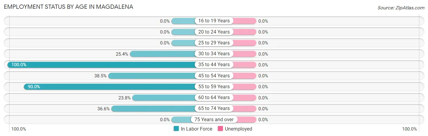 Employment Status by Age in Magdalena