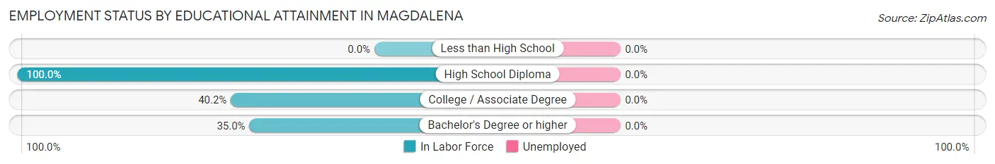 Employment Status by Educational Attainment in Magdalena