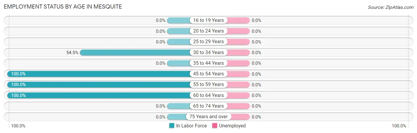 Employment Status by Age in Mesquite