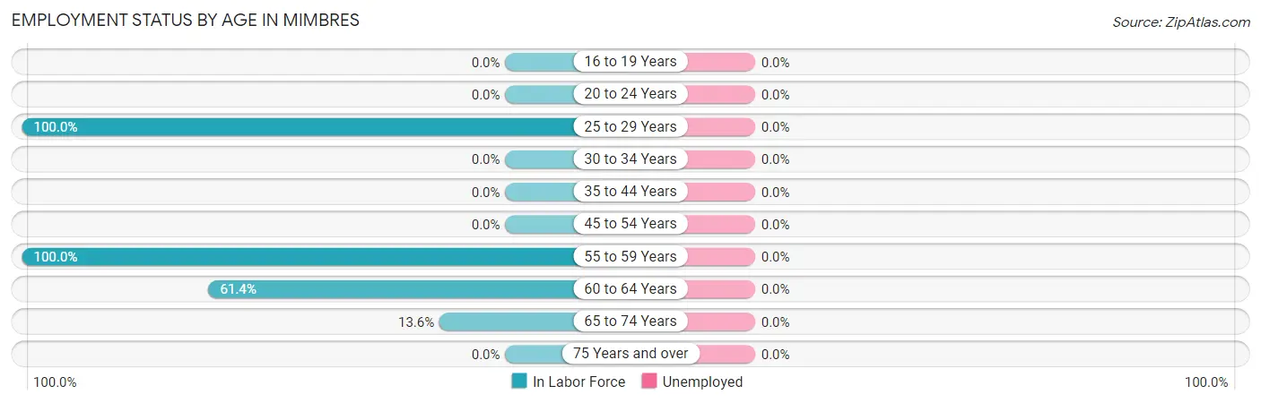 Employment Status by Age in Mimbres