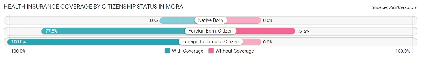 Health Insurance Coverage by Citizenship Status in Mora