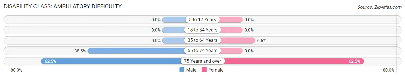 Disability in Nageezi: <span>Ambulatory Difficulty</span>