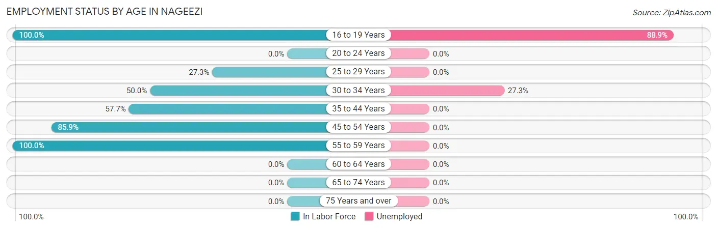 Employment Status by Age in Nageezi