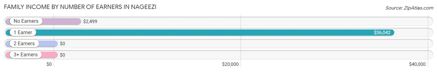 Family Income by Number of Earners in Nageezi