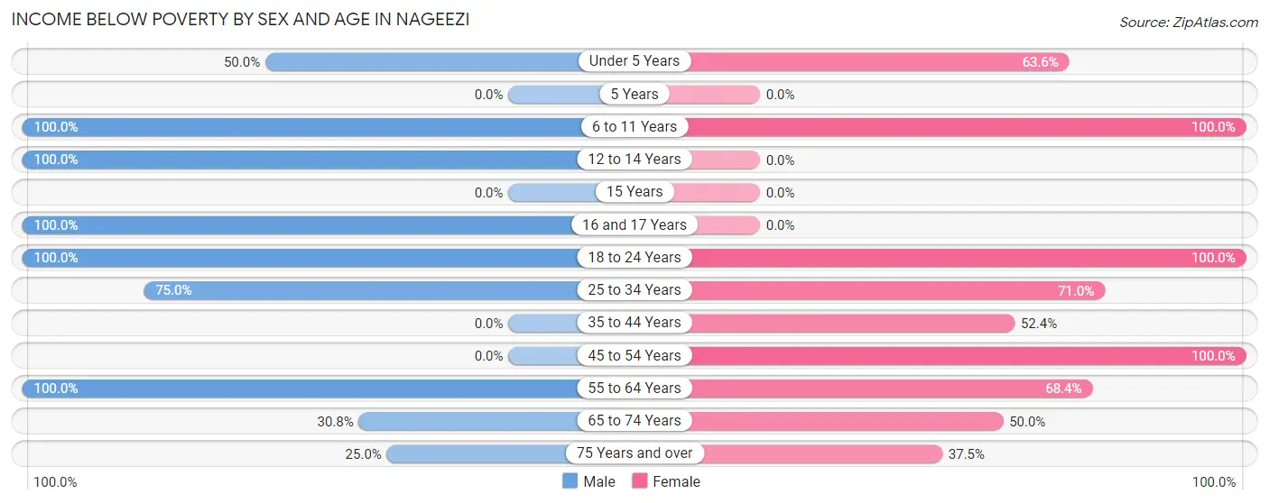 Income Below Poverty by Sex and Age in Nageezi
