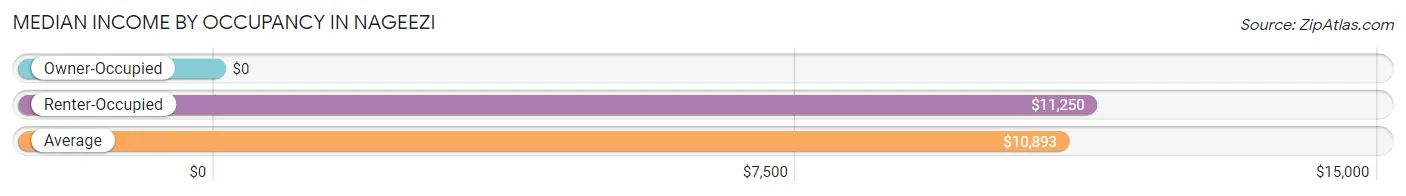 Median Income by Occupancy in Nageezi