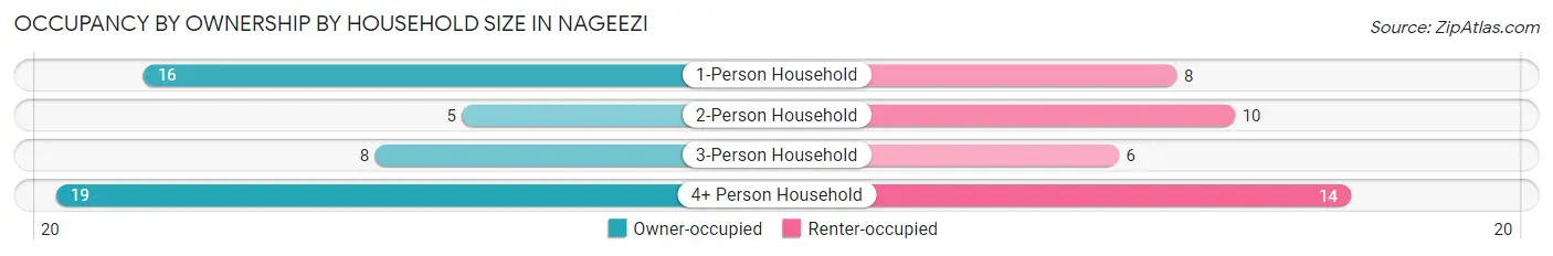 Occupancy by Ownership by Household Size in Nageezi