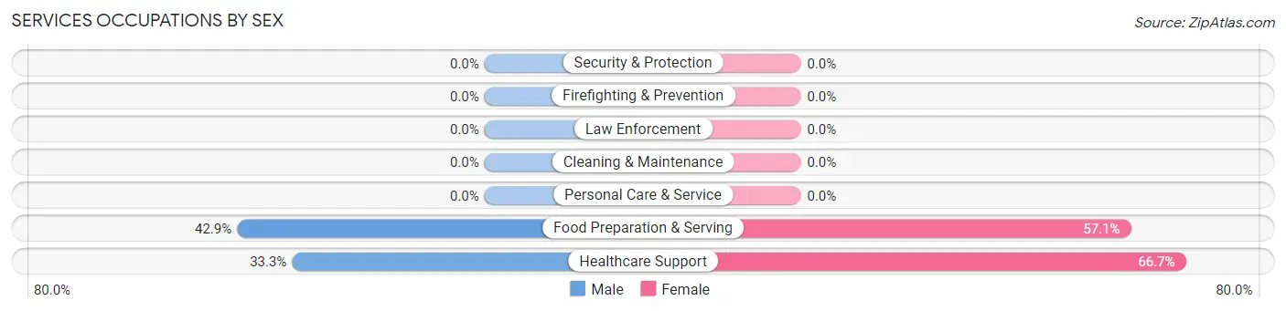 Services Occupations by Sex in Nageezi