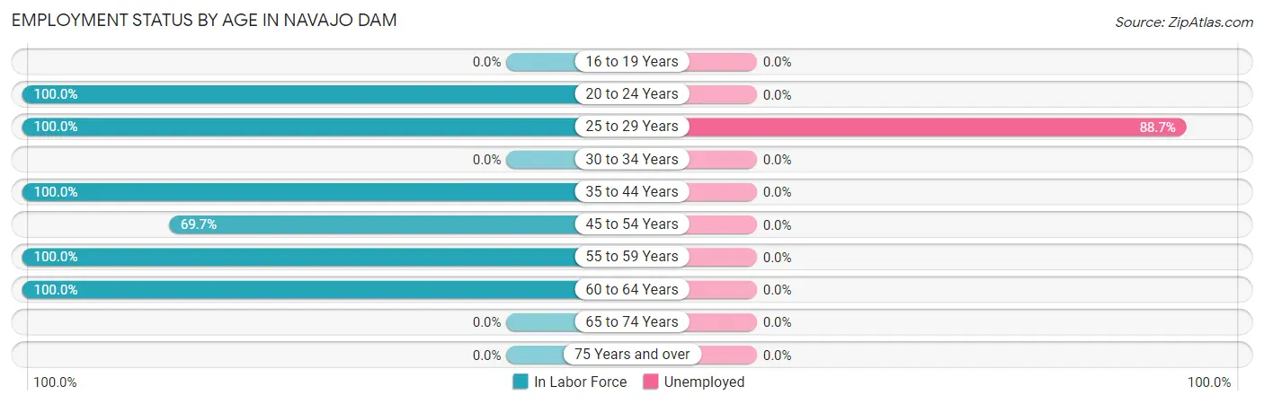 Employment Status by Age in Navajo Dam