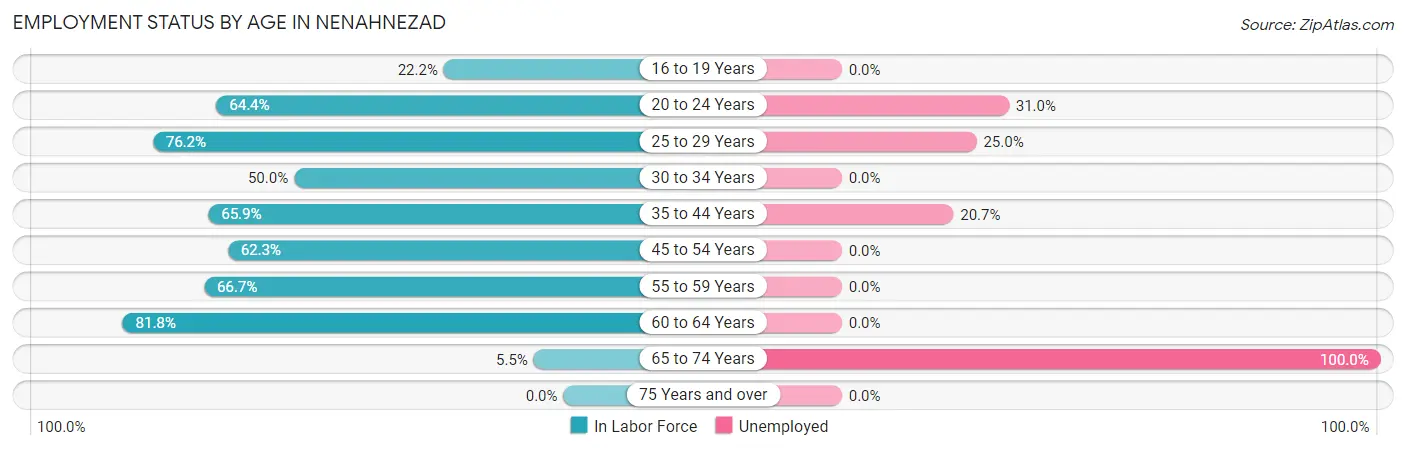 Employment Status by Age in Nenahnezad