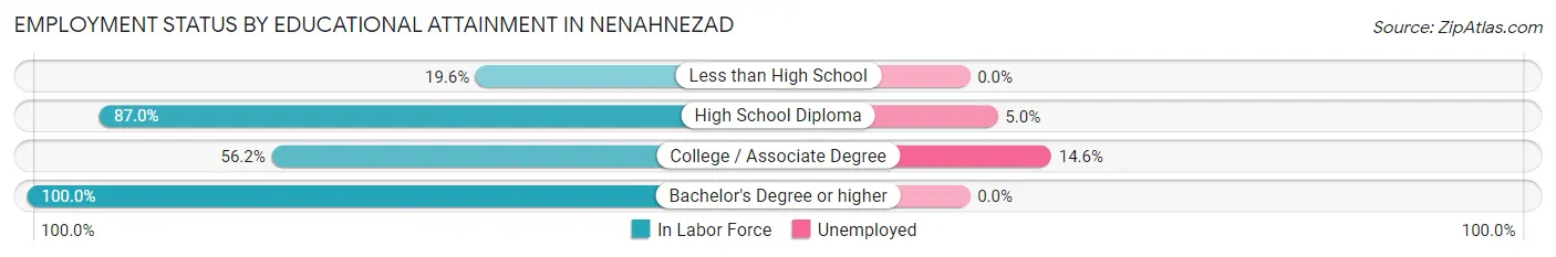 Employment Status by Educational Attainment in Nenahnezad