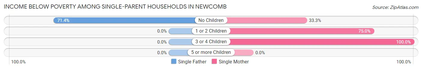 Income Below Poverty Among Single-Parent Households in Newcomb