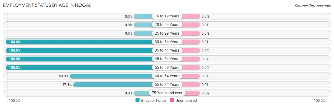 Employment Status by Age in Nogal