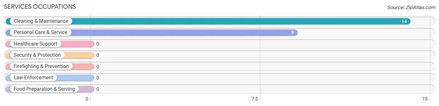 Services Occupations in Nogal