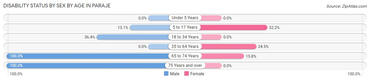 Disability Status by Sex by Age in Paraje