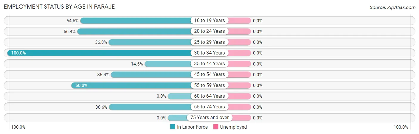 Employment Status by Age in Paraje