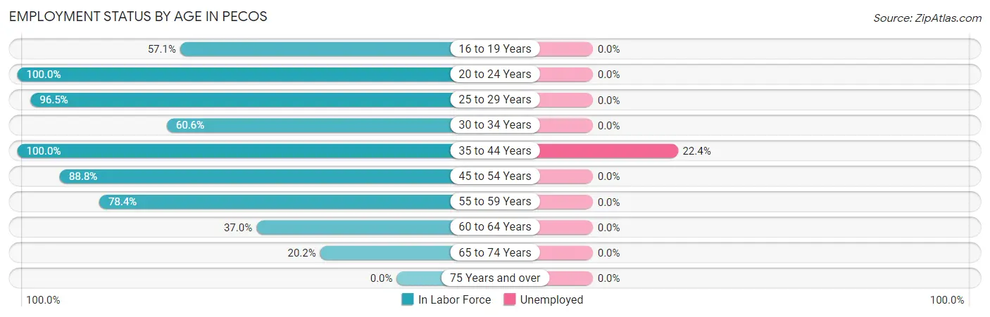 Employment Status by Age in Pecos