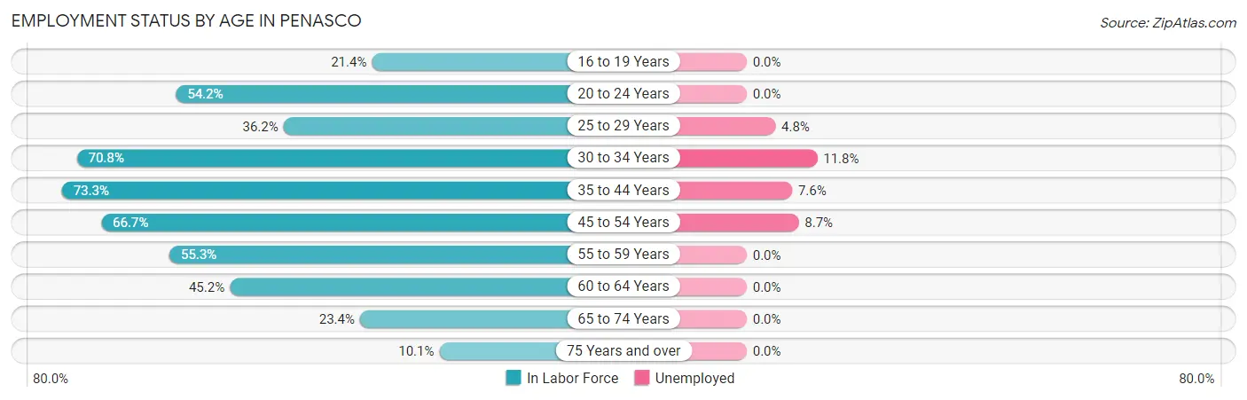 Employment Status by Age in Penasco