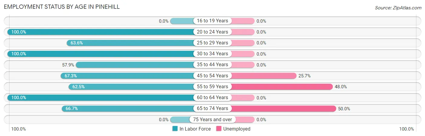 Employment Status by Age in Pinehill