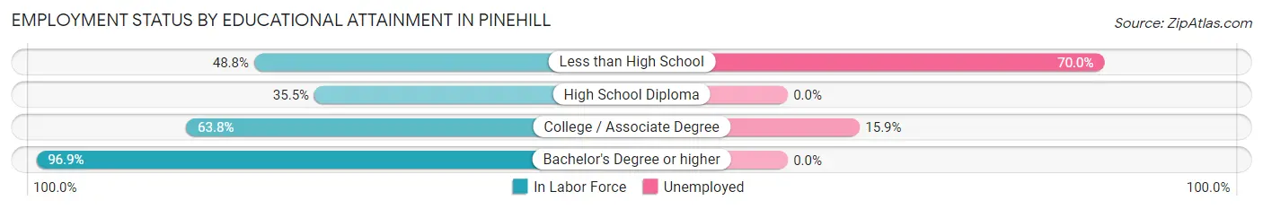 Employment Status by Educational Attainment in Pinehill