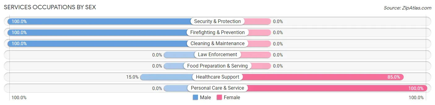 Services Occupations by Sex in Pinehill