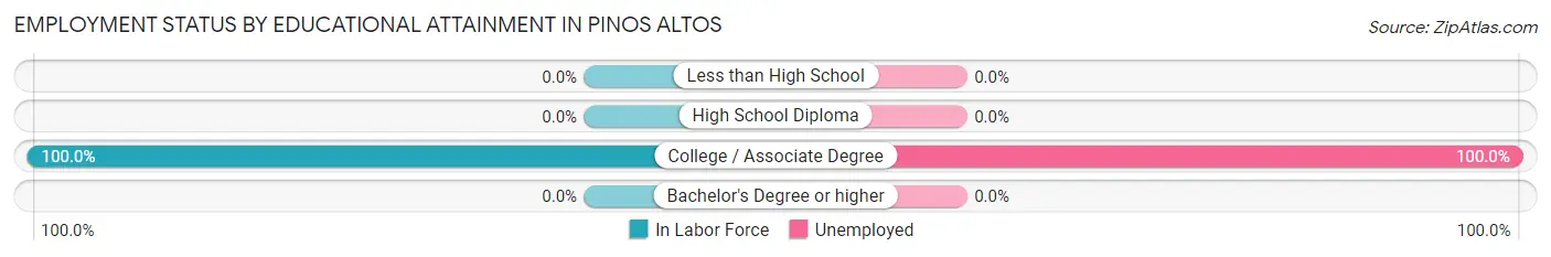 Employment Status by Educational Attainment in Pinos Altos
