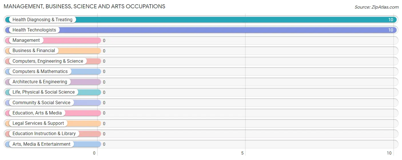 Management, Business, Science and Arts Occupations in Pinos Altos