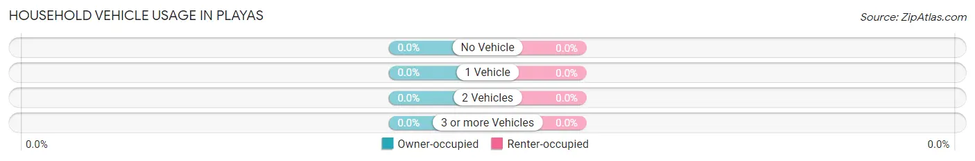 Household Vehicle Usage in Playas