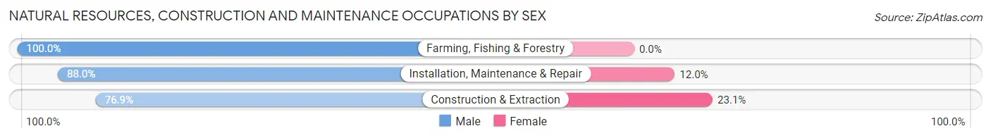 Natural Resources, Construction and Maintenance Occupations by Sex in Portales