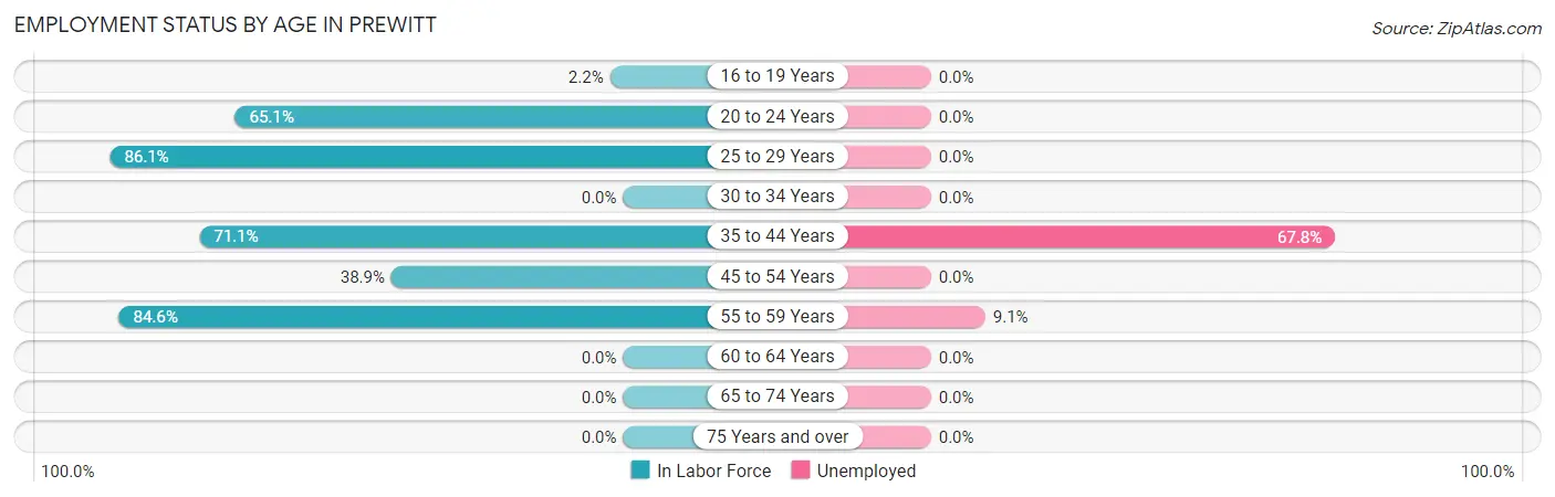 Employment Status by Age in Prewitt