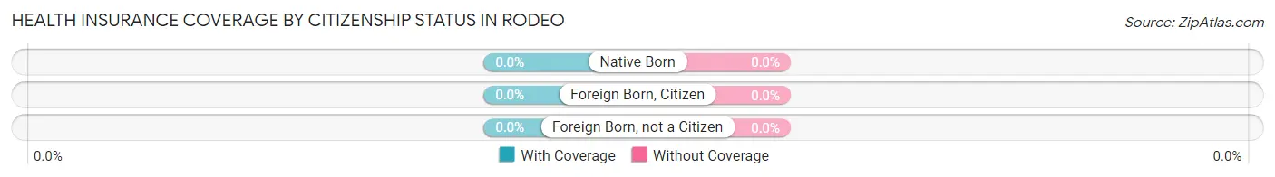 Health Insurance Coverage by Citizenship Status in Rodeo